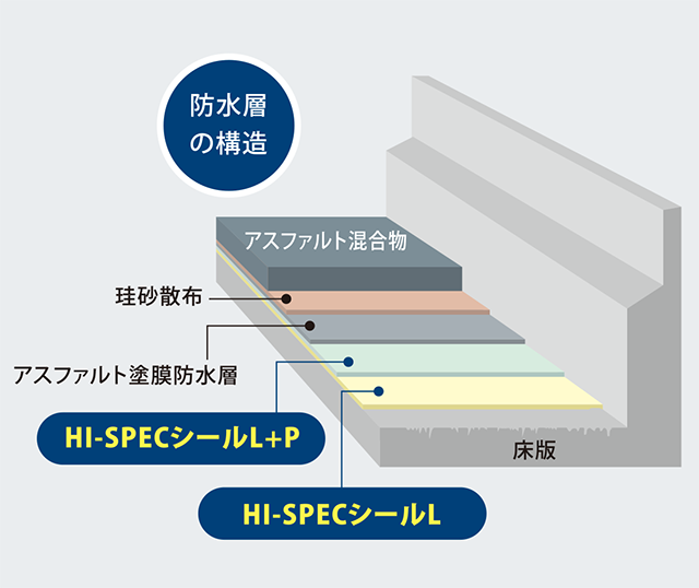 模式図